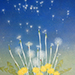 Kazuyuki Suto Gallery